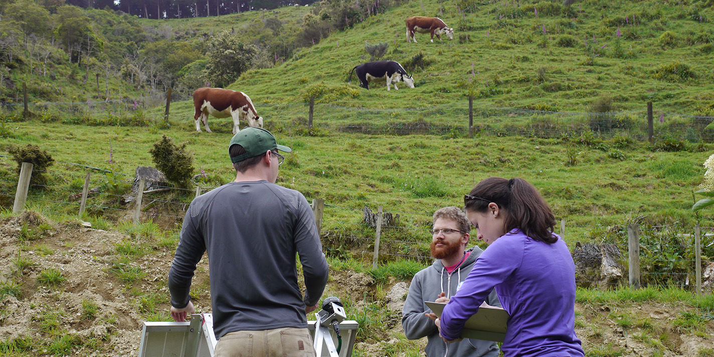 Students doing research on a field with cows
