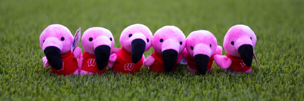 Plush flamingos on grass