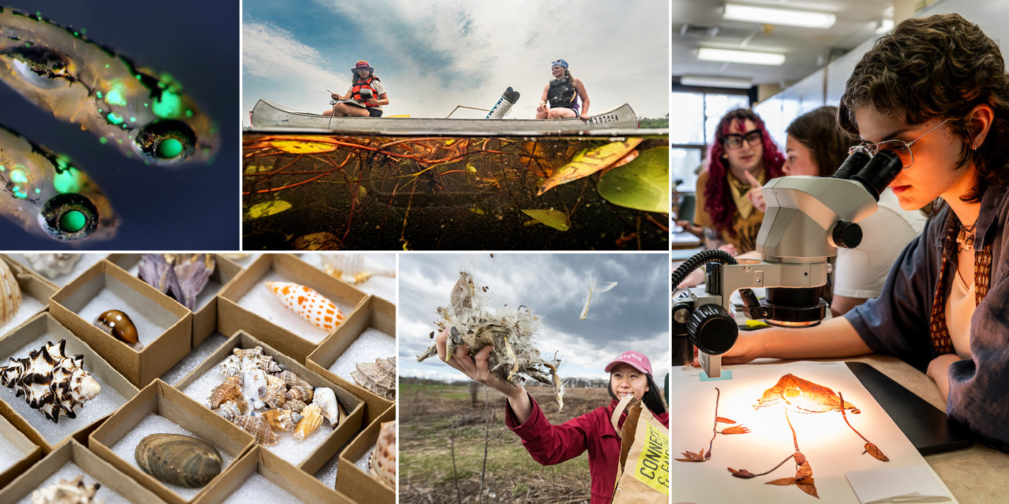 Collage of images that correspond to the Department of Biology