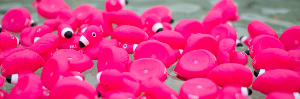 Pink flamingos in the fountain