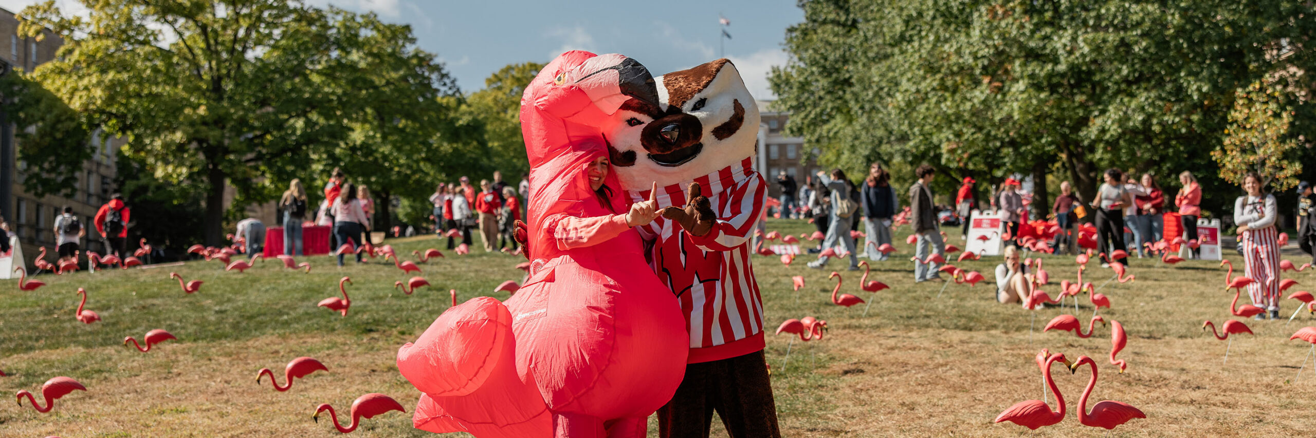 Flamingo and Bucky pose for a picture on Bascom Hill