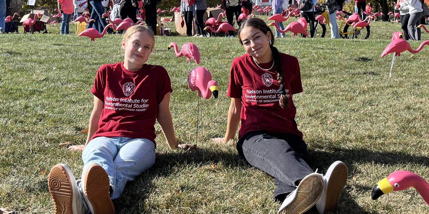 Students shown on Bascom Hill with pink lawn flamingos